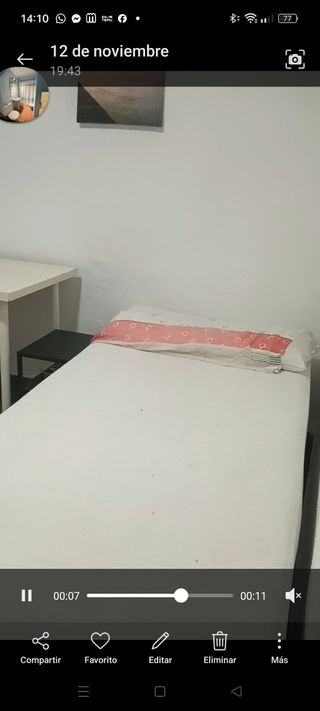 Habitación individual pajaritos