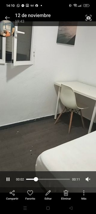 Habitación individual pajaritos