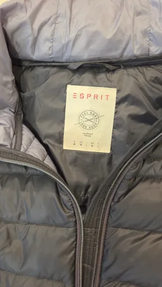 Chaqueta plumífero Esprit mujer gris