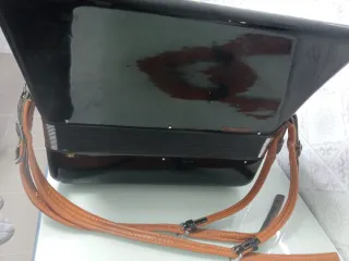 Acordeón 120 Bajos Parrot ANA