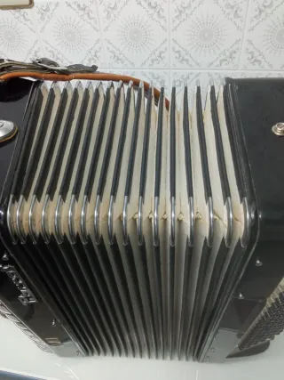 Acordeón 120 Bajos Parrot ANA