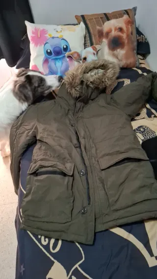 LEFTMAN Chaquetón Verde y Beige