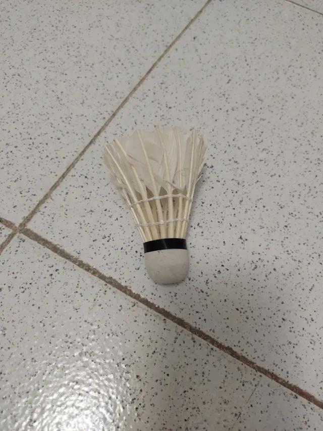 Volante di badminton con piume naturali
