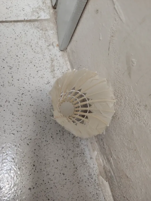 Volante di badminton con piume naturali