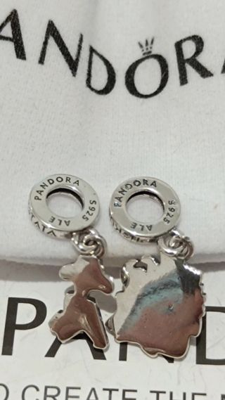 Charms Timón y Pumba