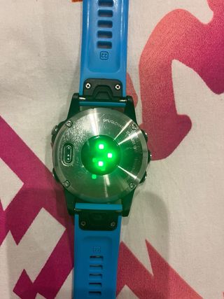 Garmin Fenix 5 Smartwatch Azul/Plata