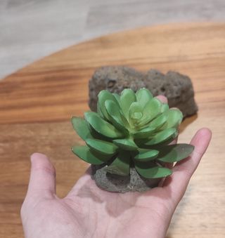 Roca volcánica y planta artificial acuario