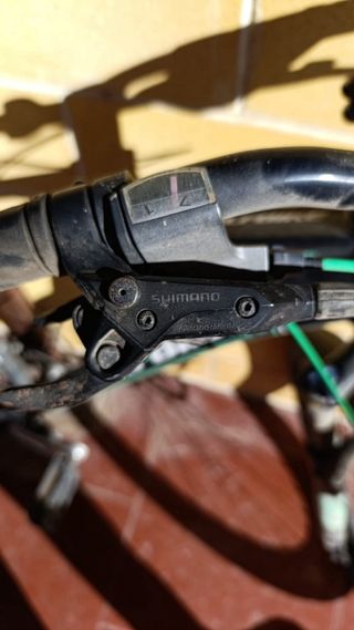 Bicicleta Montaña Wolfbike Negra/Verde