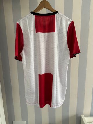 Camiseta Técnica Mizuno Hombre Talla L