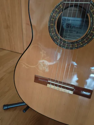 Guitarra con funda y soporte