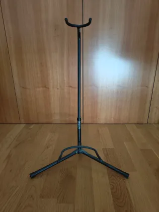 Guitarra con funda y soporte