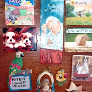 Lotto Calamite Frigo Varie