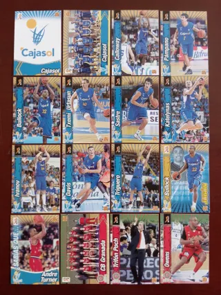 ACB 10 11 CROMOS TRADING CARDS PANINI