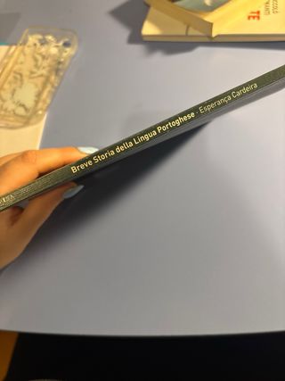 Breve storia della lingua portoghese