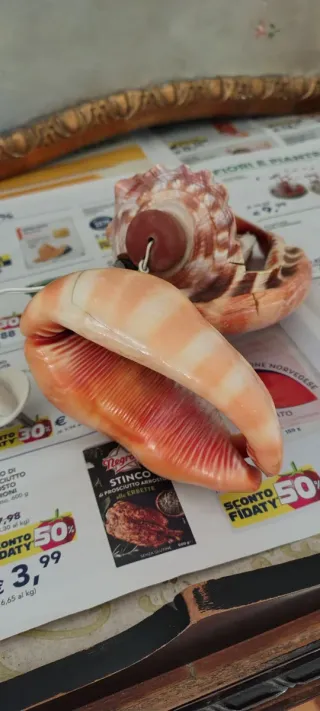 Lampada doppie conchiglie decorate