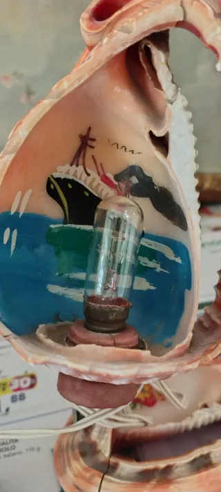 Lampada doppie conchiglie decorate