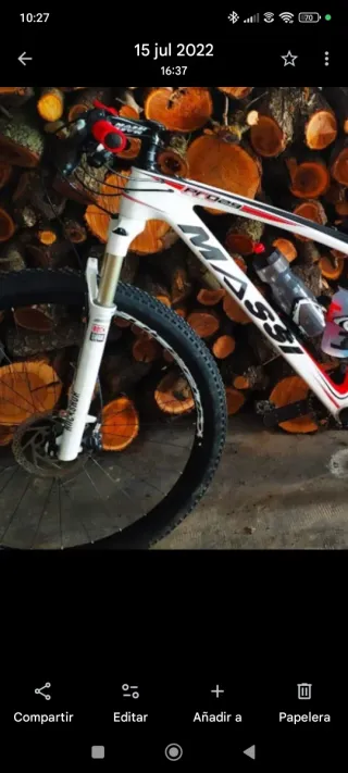 Bicicleta MTB Carbono 29