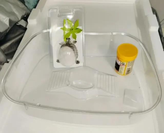 Tartarughiera con accessori