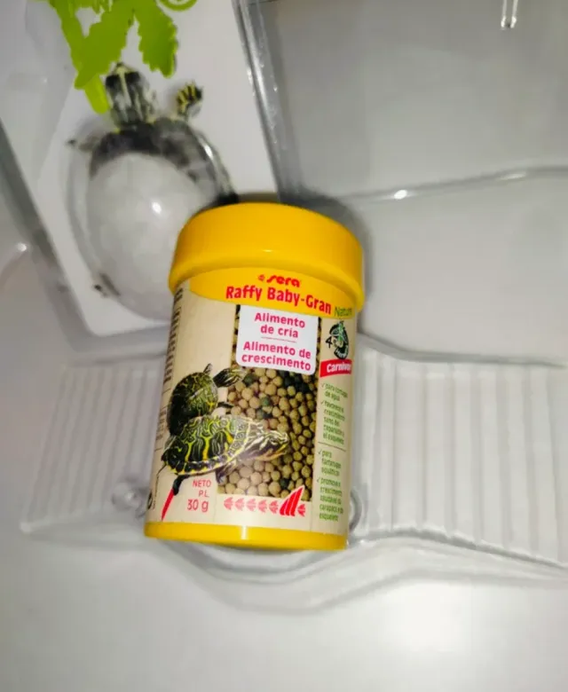 Tartarughiera con accessori