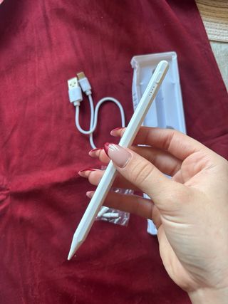 Lápiz Stylus para iPad con Cable USB