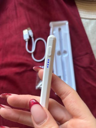 Lápiz Stylus para iPad con Cable USB