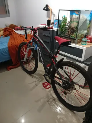 Bicicleta Montaña y Stunt