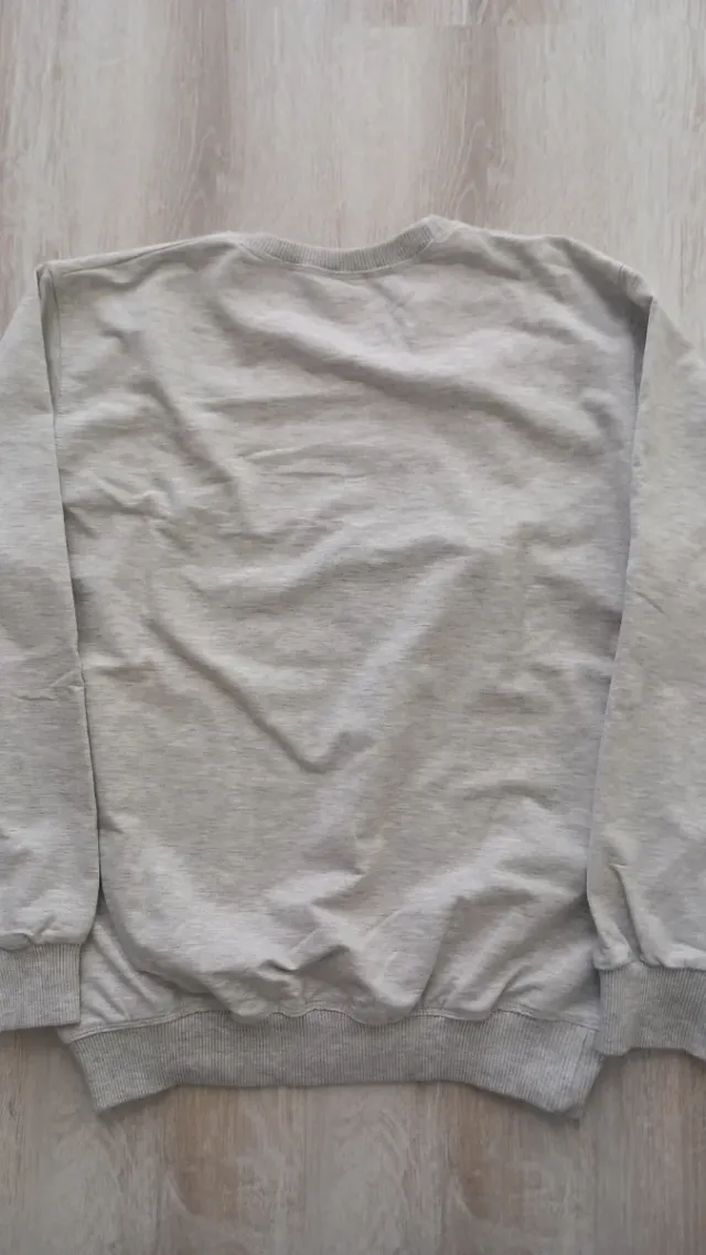 Felpa EM Sport grigia