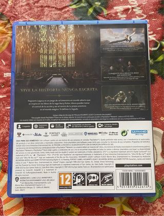 Hogwarts Legacy PS5