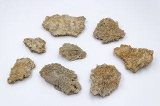 Lotto di 8 formazioni minerali naturali di selenite