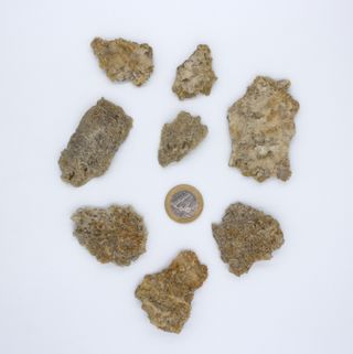 Lotto di 8 formazioni minerali naturali di selenite