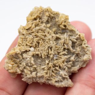 Lotto di 8 formazioni minerali naturali di selenite