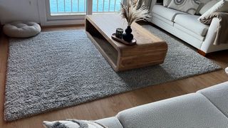 Grande tappeto beige