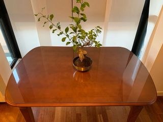 Tavolo da pranzo in legno massello per 6 persone