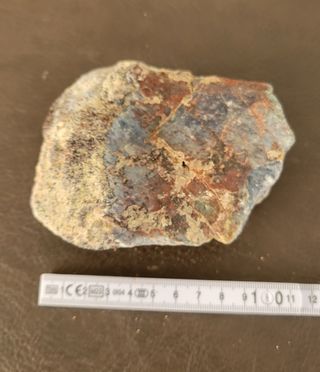 Pieza de Dinosaurio Sauropodo Ref: S008