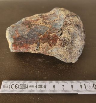 Pieza de Dinosaurio Sauropodo Ref: S008