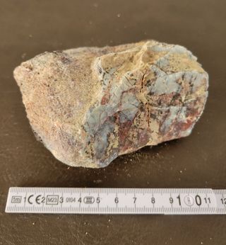 Pieza de Dinosaurio Sauropodo Ref: S008