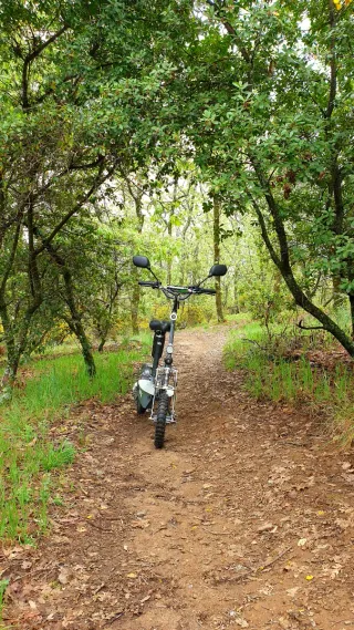 Patinete EcoExtrem 2000w