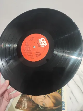 Vinilo El Estilo Personal De Rosa León