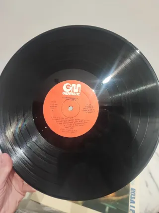 Vinilo El Estilo Personal De Rosa León