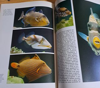 Vita Nell'Acquario - Oscar Illustrati Mondadori