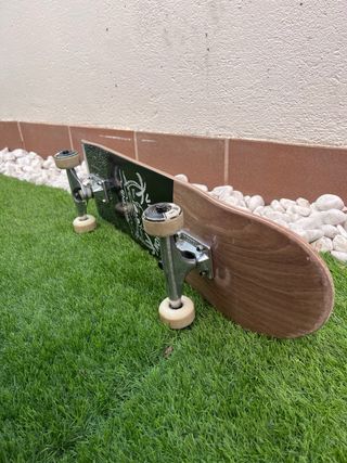 Skate Globe con ejes Tensor