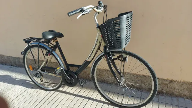 Bicicleta Paseo Panther con Cesta