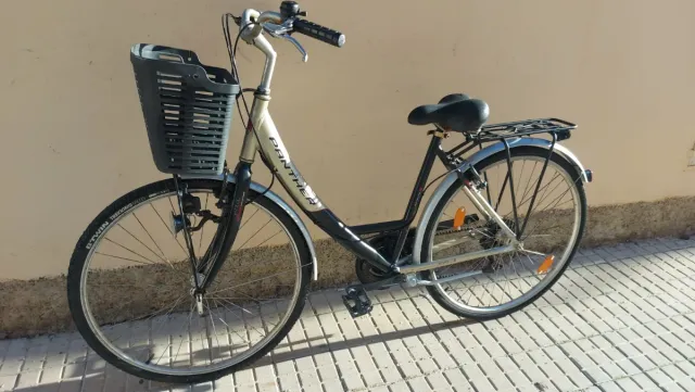 Bicicleta Paseo Panther con Cesta