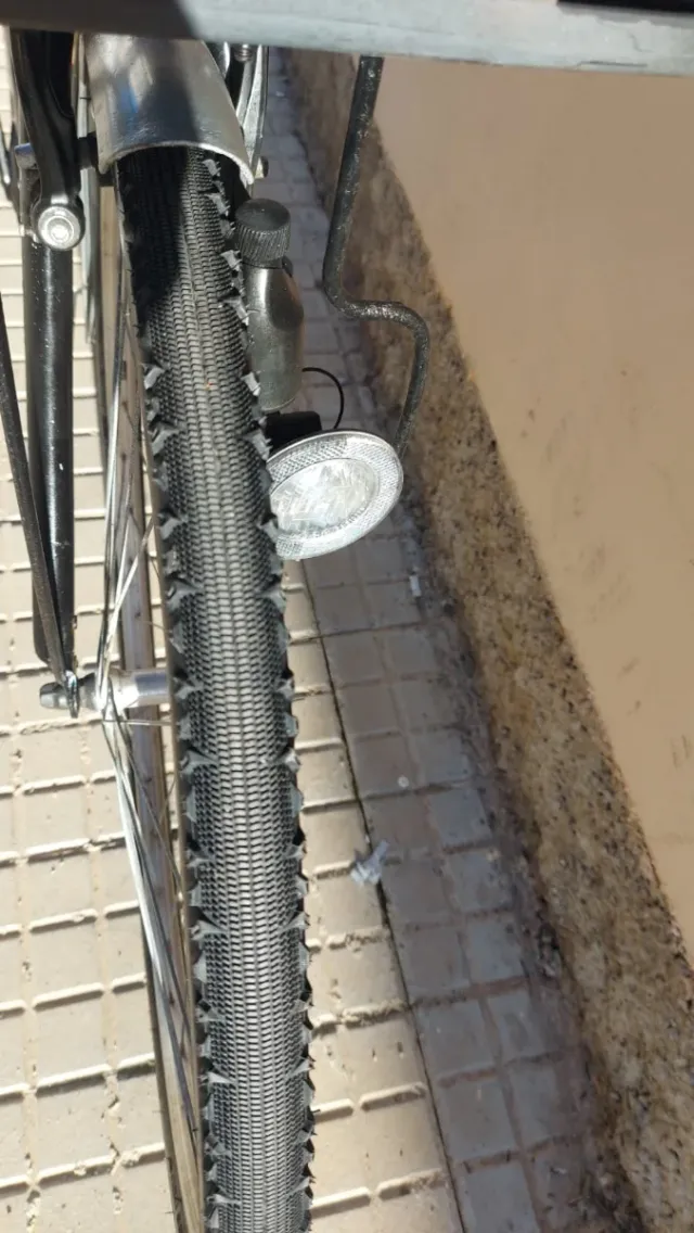 Bicicleta Paseo Panther con Cesta