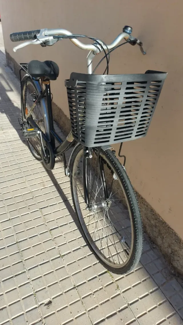 Bicicleta Paseo Panther con Cesta