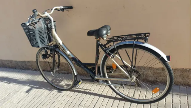 Bicicleta Paseo Panther con Cesta