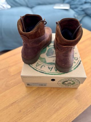 Botas Panama Jack Amur GTX C8