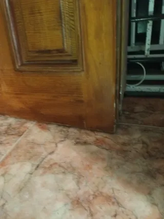 Puerta Exterior Blindada de roble