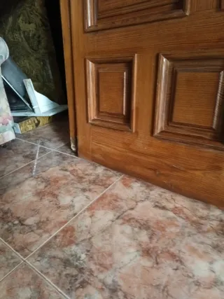 Puerta Exterior Blindada de roble