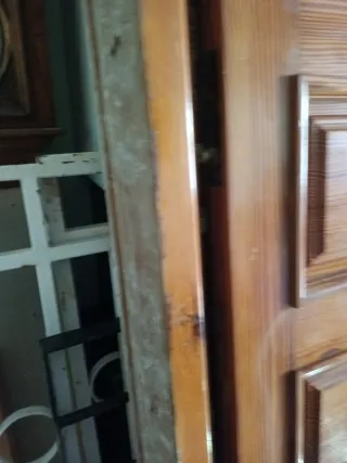 Puerta Exterior Blindada de roble